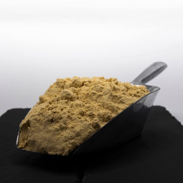 20200818-Erbsenprotein-scaled-1