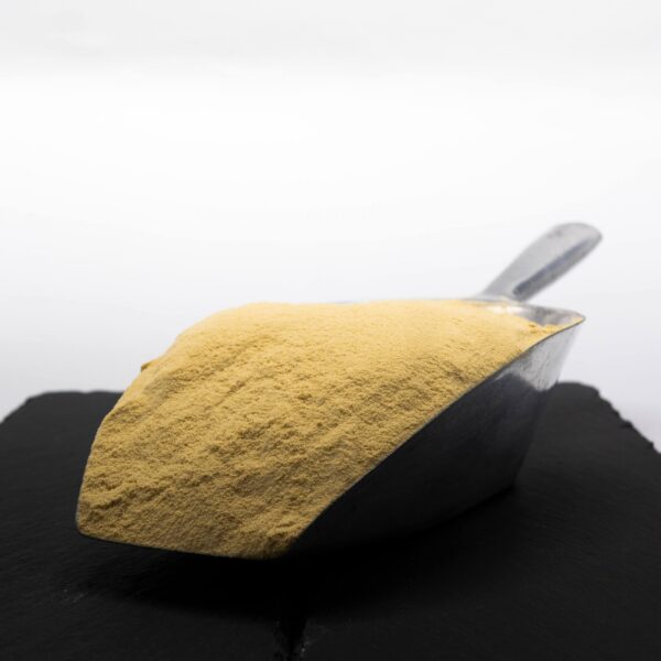 20200818-Gefluegelprotein-scaled-1