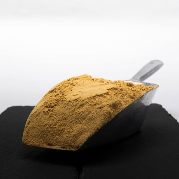 20200818-Soluble-squid-extract-scaled-1