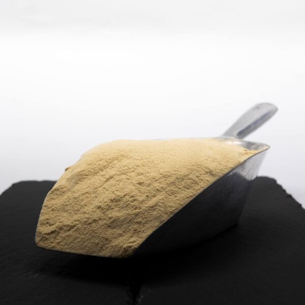 20200818-Squid-Liver-Powder-dunkler-scaled-1