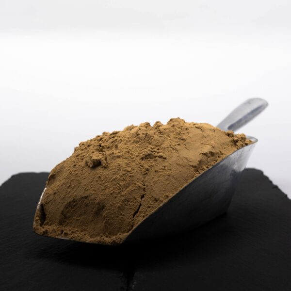 20200818-Thunfisch-extract-scaled-1