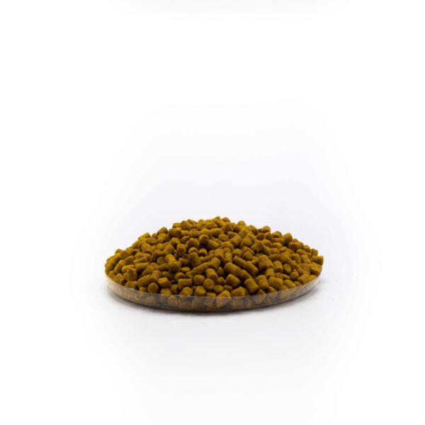 Cheese-scaled-1
