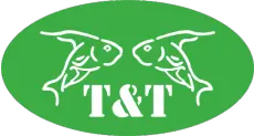 Logo-TT