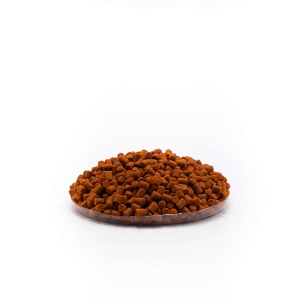NG-Stim-scaled-2